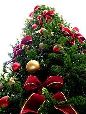 christmas three.jpg