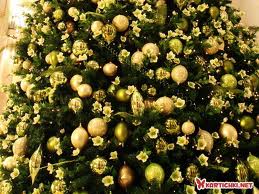 green tree.jpg
