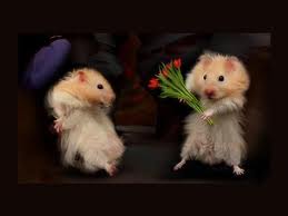 uhajvane.jpg uhajvane.jpg