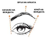 vejdi.jpg