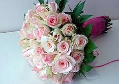 images (10).jpg images (10).jpg