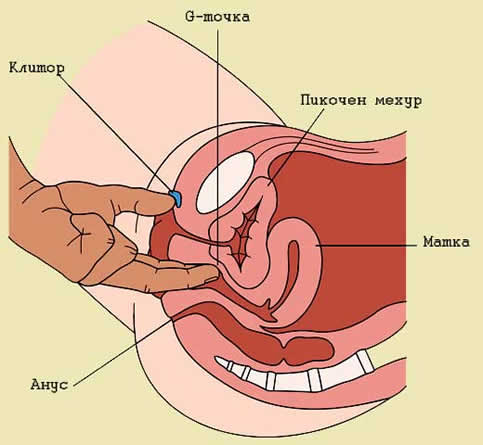 G точка.111.jpg