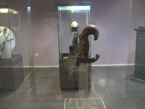 IMG_6289.jpg