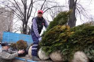 IMG_8856.jpg