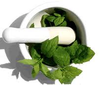 bilka-stevia-framar.jpeg