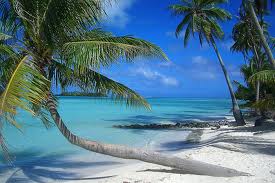 paradise.jpeg