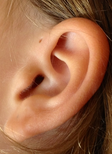 logans-ear.jpg