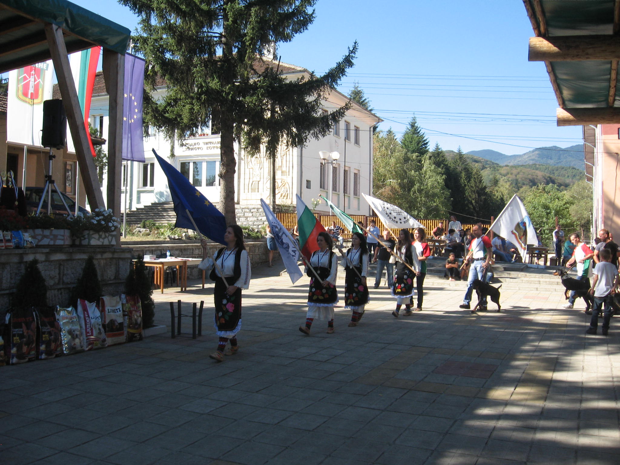 Picture_070.jpg