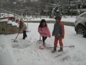 Картина17.jpg