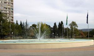IMG_6151.jpg