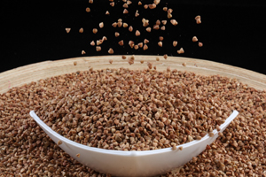 ЕЛДА 1.jpg ЕЛДА 1.jpg