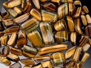 tiger eye.jpg tiger eye.jpg