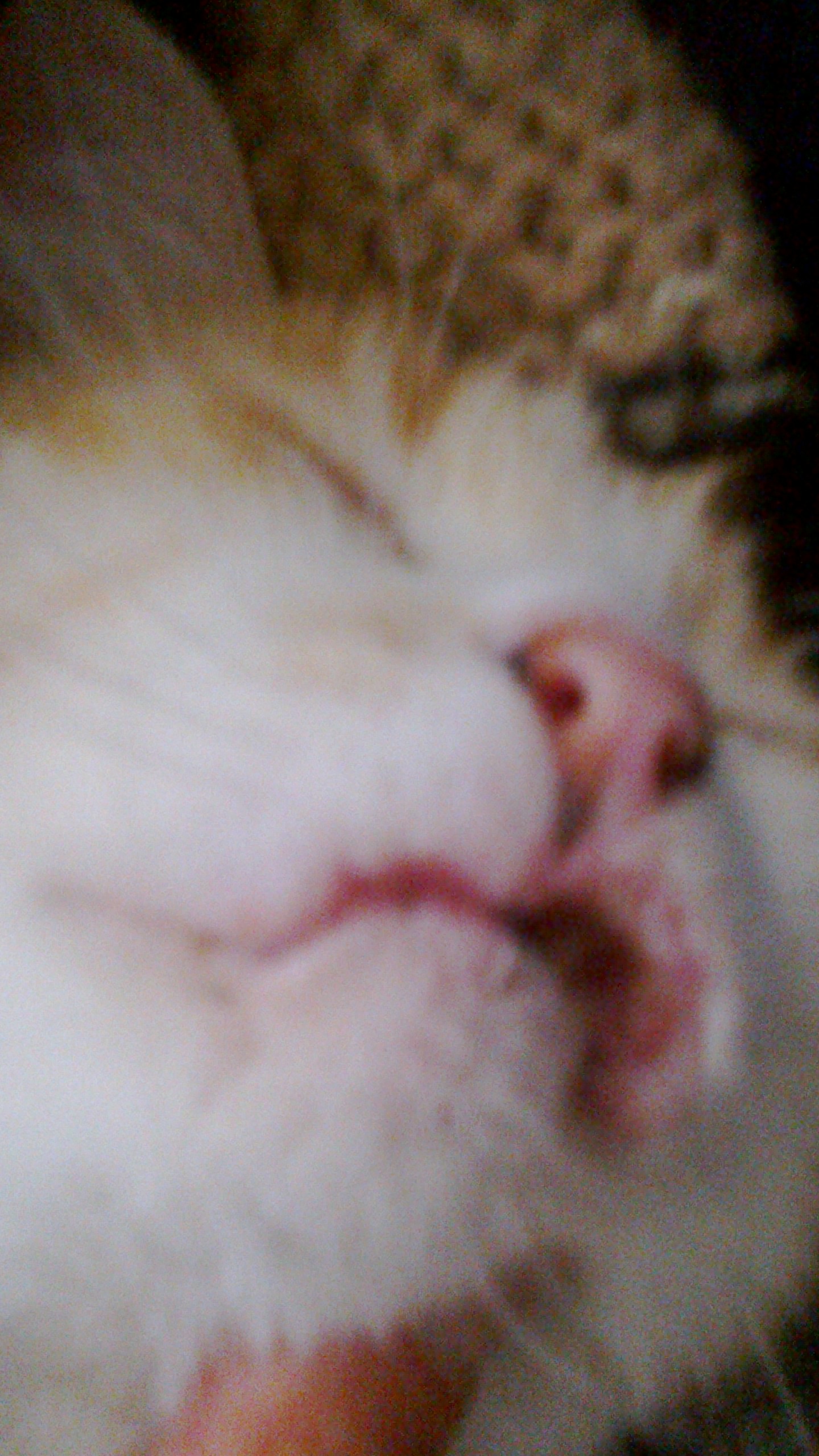 2013-04-19-204.jpg 2013-04-19-204.jpg