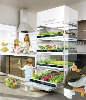 kitchen-bio-garden.jpg kitchen-bio-garden.jpg