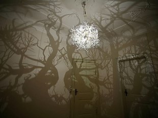 forest-tree-shadow-chandelier-hilden-diaz-1.jpg