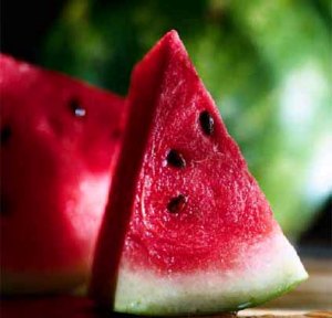 watermelon.jpg watermelon.jpg
