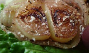 onion1.jpg onion1.jpg
