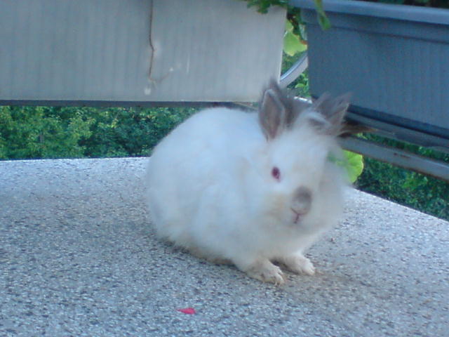 DSC00069.JPG
