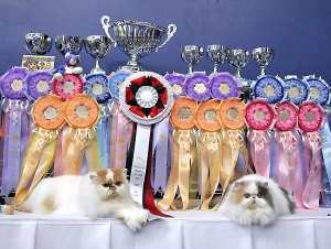 miamanilashow.jpg miamanilashow.jpg