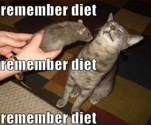 diet-for-the-cat.jpg