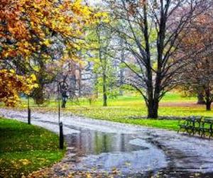 beautiful-rainy-autumn-day.jpg