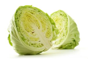 Cabbage.jpg