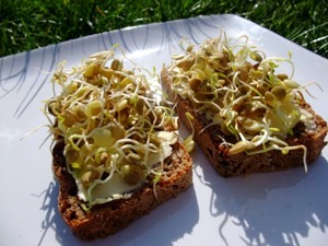 sprouts and bread.JPG