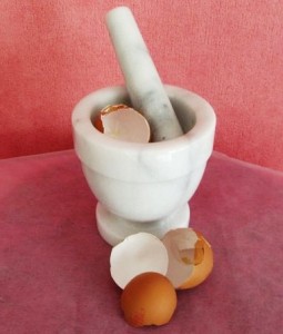eggshells.jpg eggshells.jpg