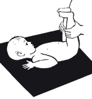 гимнастика с крачета-фрамар.gif гимнастика с крачета-фрамар.gif