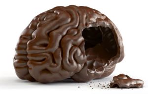 Chocolate_brain.jpg