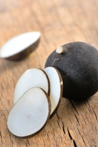black globe radish.jpg