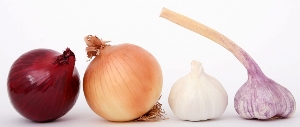 Garlic-Onion-for-Hair-Loss-Remedy.jpg