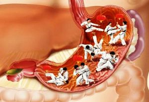 stomaha.jpg stomaha.jpg