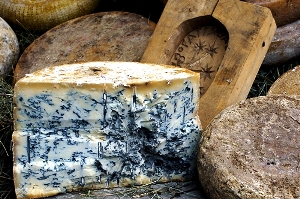 blue-cheese.jpg blue-cheese.jpg
