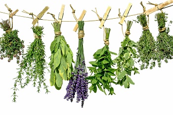 Herbs.jpg