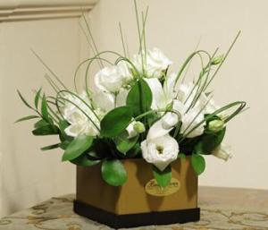 SimplyWhite_arrangement.jpg