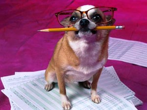 smart-dog.jpg smart-dog.jpg