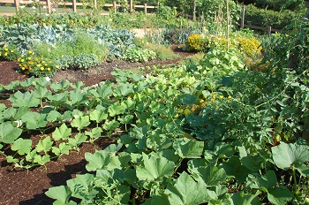 jadaugustgarden.jpg