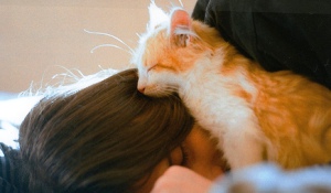 cat-girl-sleep.jpg cat-girl-sleep.jpg