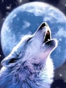 Wolf-and-Full-Moon.jpg