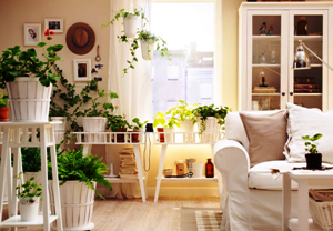 flowers_in_the_room_homeflowers.png flowers_in_the_room_homeflowers.png