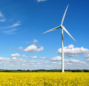 Renewable-energy.jpg