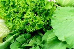 Green-Vegetables.jpg