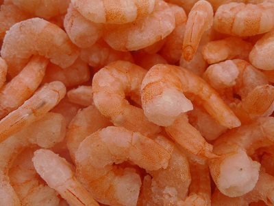 shrimp.jpg