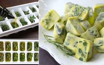 herbs-frozen-in-olive-oil-collage.jpg herbs-frozen-in-olive-oil-collage.jpg