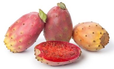 exoticfruits.jpg