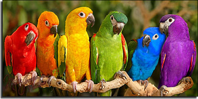 colors.jpg