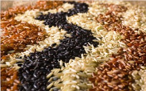 Rice.jpg