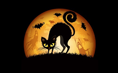 halloween_cats_bats-wide.jpg