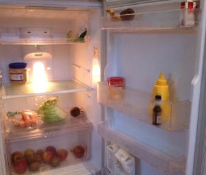 empty_fridge.jpg empty_fridge.jpg